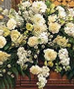 Sympathy/Funeral