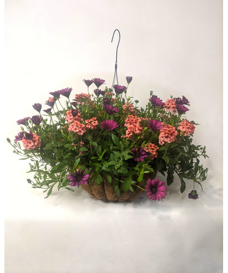 Blooming Hanging Basket