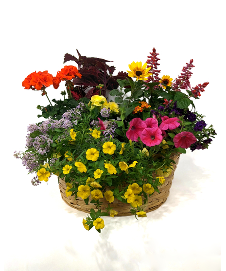 Beautiful Bright Blooms - A Basket Filled With Annuals