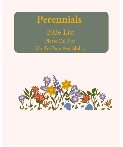Garden Center Perennials - 2026 List