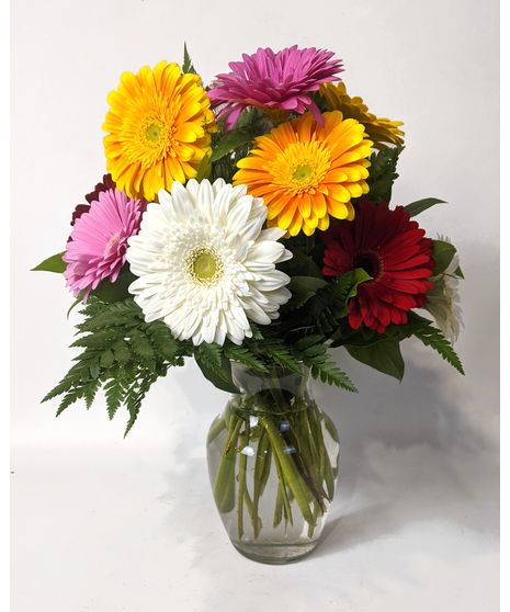 Gerbera Daisy Vase