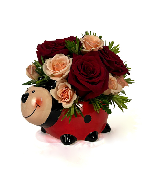 Lil' Lady - Ladybug Rose Arrangement