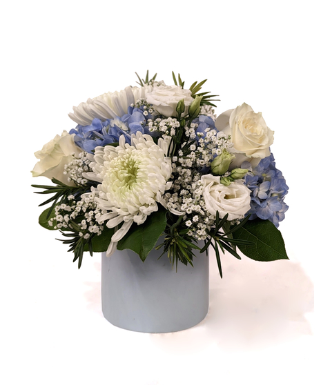 Peek-a-Blue - Soft Blue Flowers