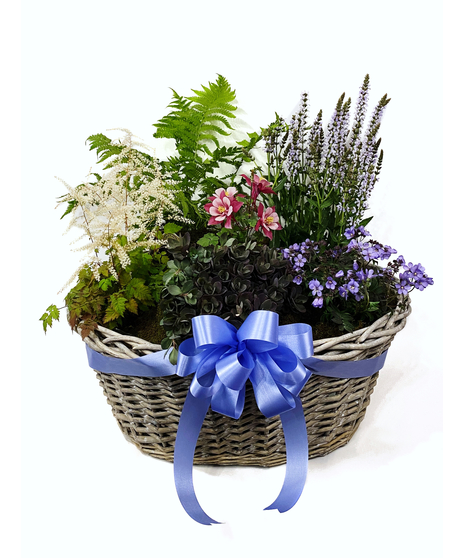 Blooming Perennial Basket