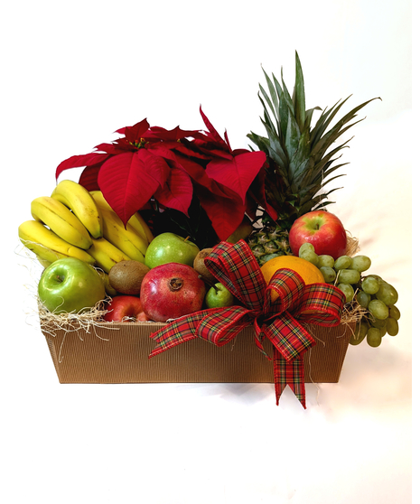 Fruit and Poinsettia Basket