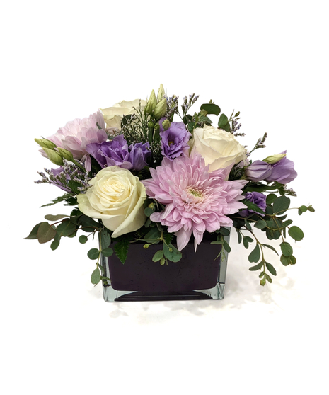 Maria von Trapp - Peaceful Purples