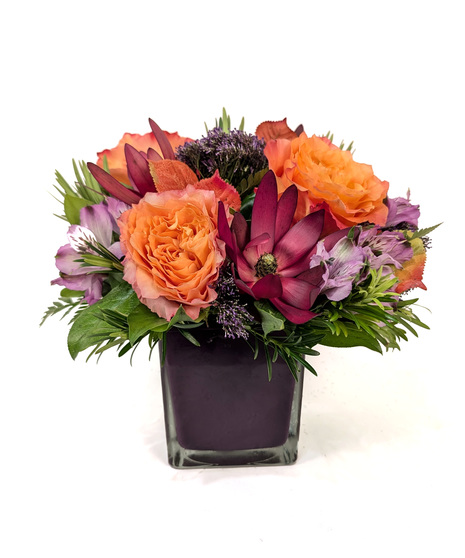 Bewitching - Purple & Orange Autumnal