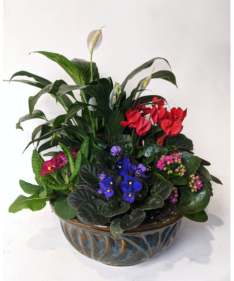 Blooming Dish Garden