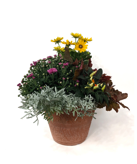 Fall Colors Patio Pot