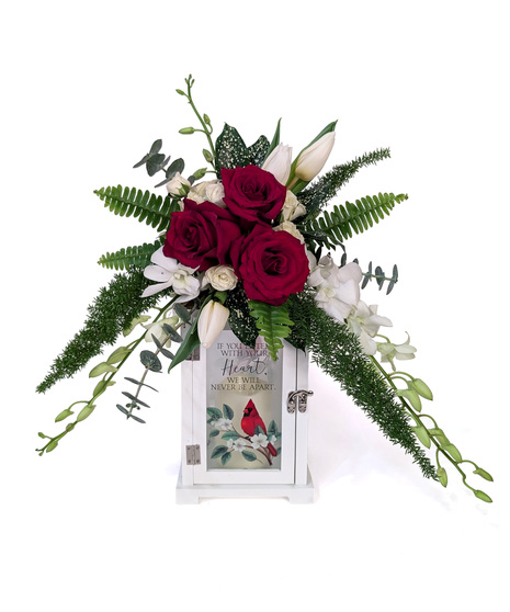 A Cardinal's Song - Orchids & Roses on Cardinal Lantern