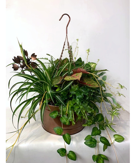 Copper Hanging Baskets