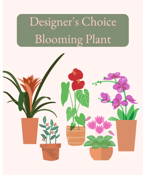 Blooming Plants - Designer's Choice