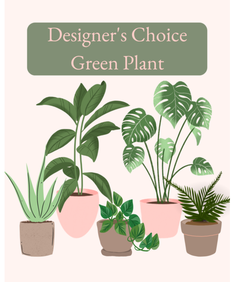Green Plant - Designer's Choice