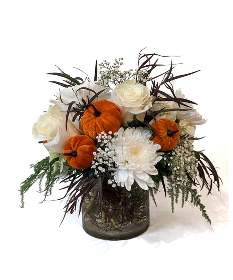 Gene - Heartwarming Pumpkins & White Flowers