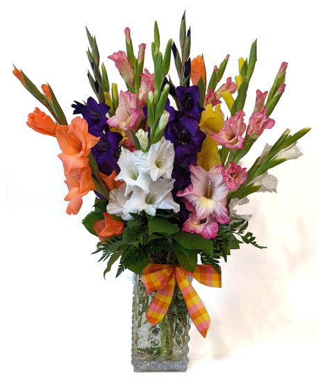 Electric Avenue - Vibrant Gladiolus
