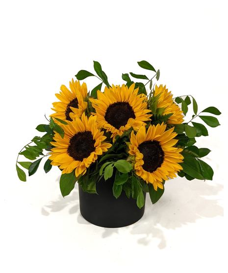 Let It Gogh - Locally Grown Sunflowers