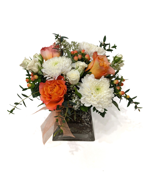 Sunkissed - Orange & White Blend of Modern & Traditional