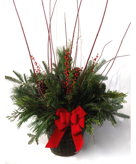 Festive Winter Patio Pot