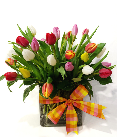 Spring Fling - Colorful Tulips Tied With a Bow