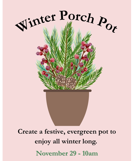 Winter Porch Pot Design Class - November 29 Design Class