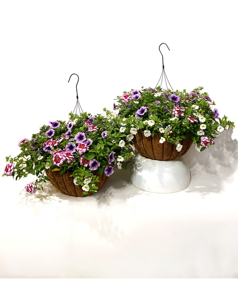 Birthday Flowers & Gift Ideas