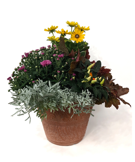 Fall Colors Patio Pot
