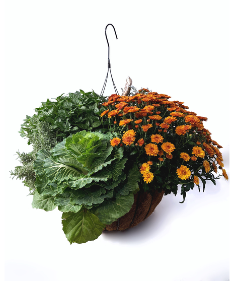 Fall Hanging Basket
