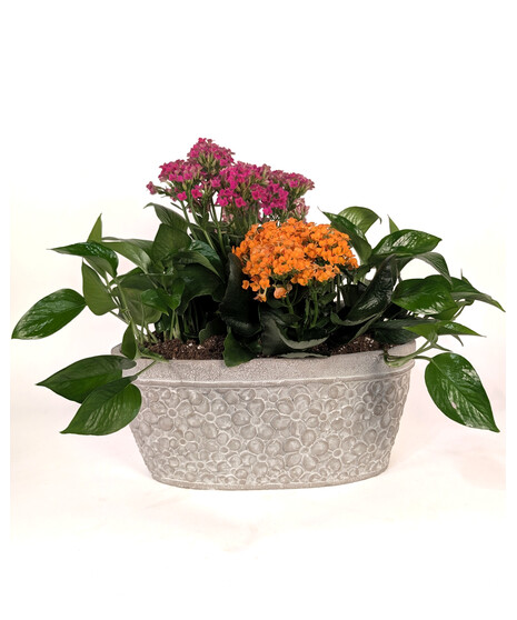 Garden Waltz - Decorative Planter