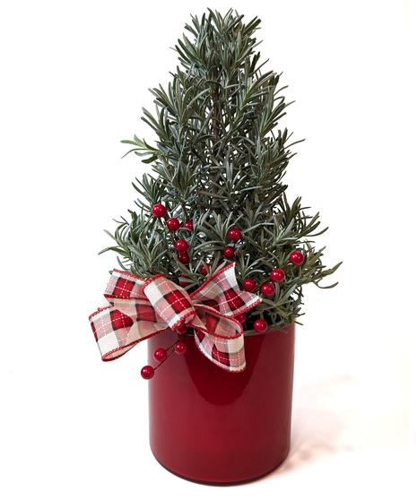All Is Bright - Herbal Christmas Tree