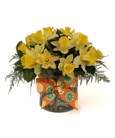 Lemon Drop - Locally Grown Daffodils