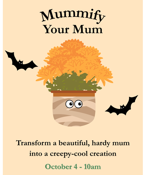 Mummify Your Mum - October 4 - Hardy Mum Decorating Class
