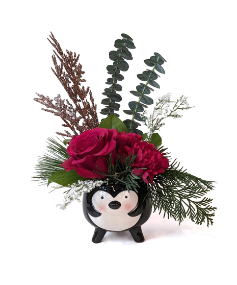 South Pole - Petite Penguin Arrangement