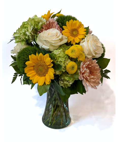 Sunflower Fields Forever - Soft Colors & Charming Sunflowers