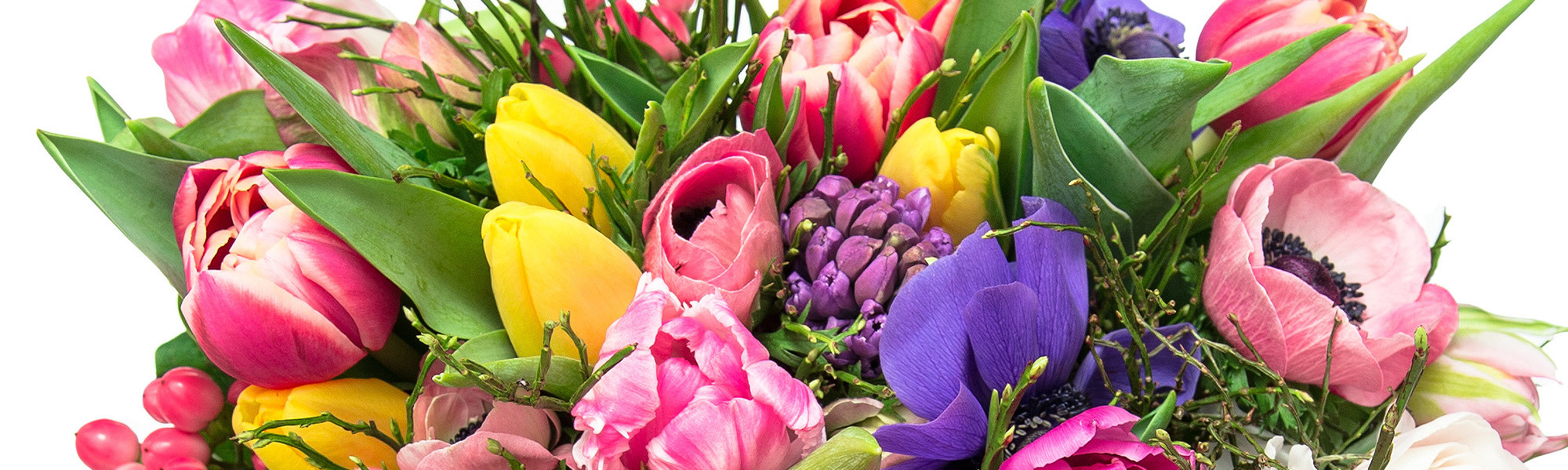 Kalamazoo Florist SameDay Kalamazoo Flower Delivery by VanderSalm's