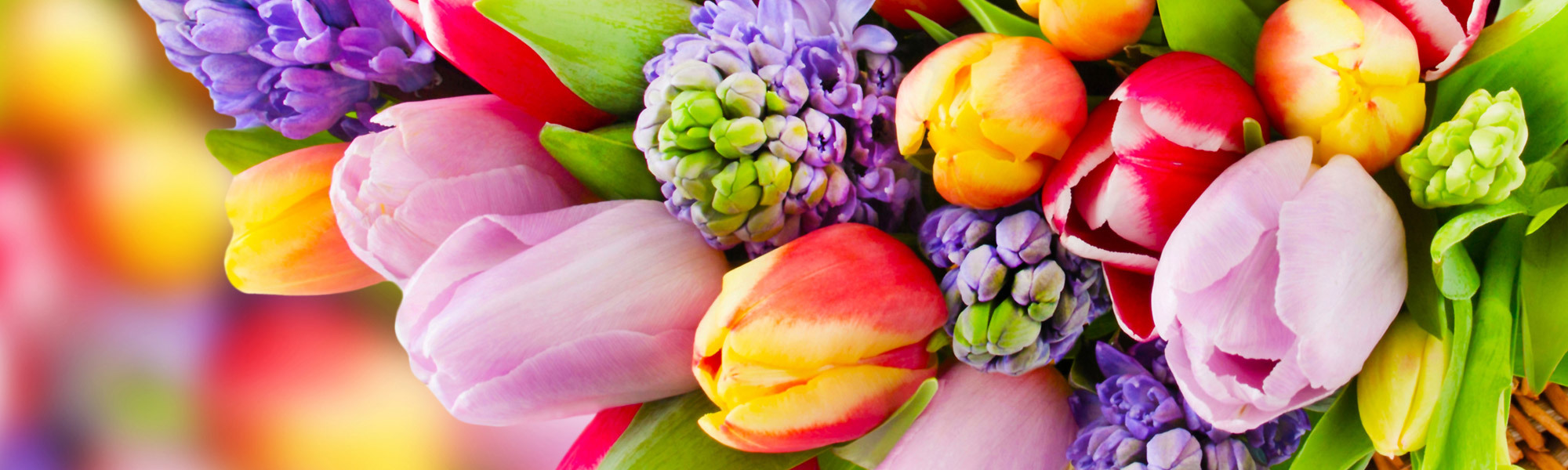 Kalamazoo Florist SameDay Kalamazoo Flower Delivery by VanderSalm's Flower Shop & Garden Center