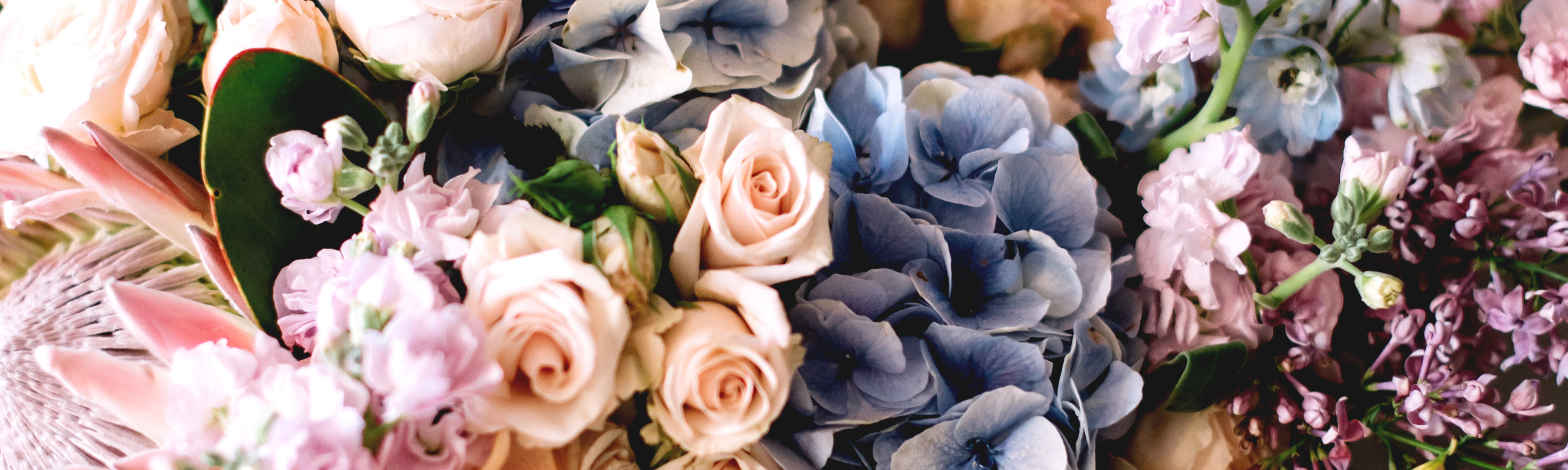Kalamazoo Florist | Same-Day Kalamazoo Flower Delivery by VanderSalm's ...