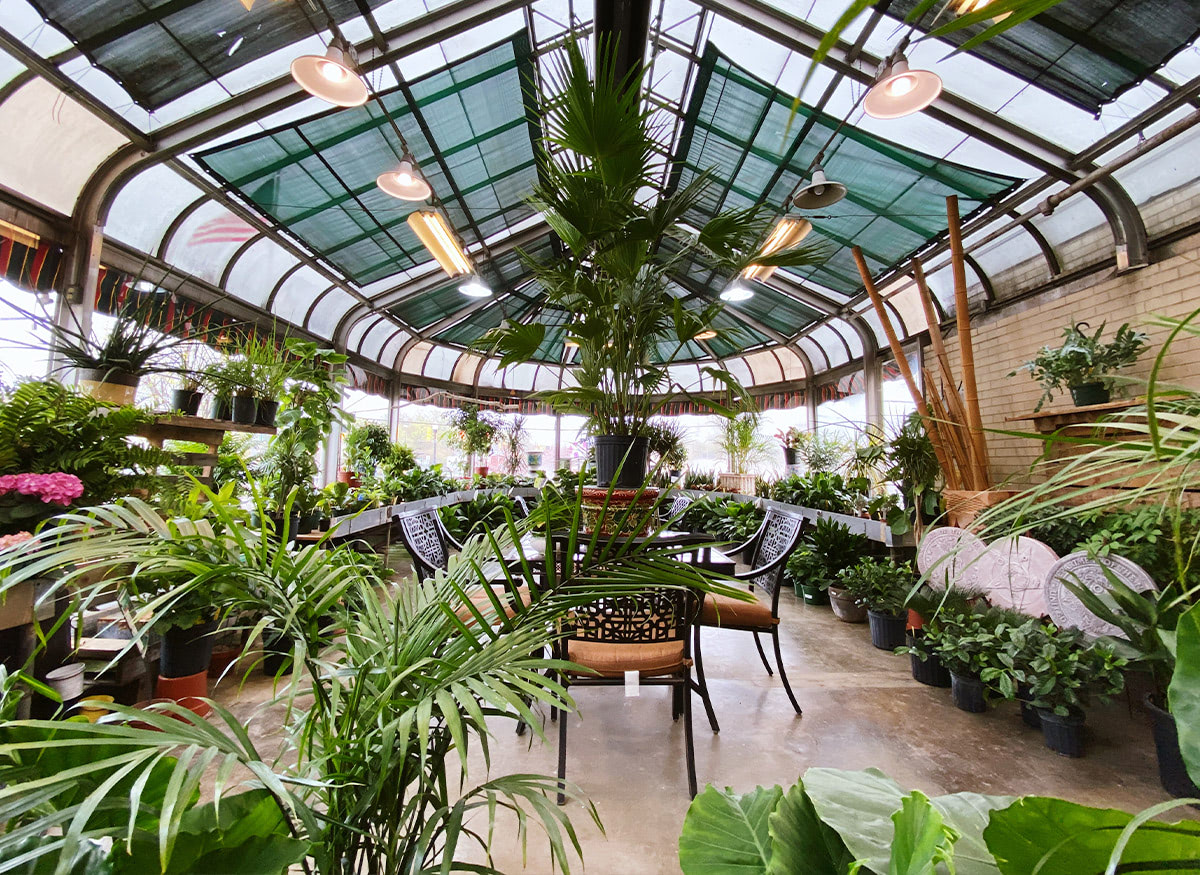 Kalamazoo Flower Delivery by VanderSalm's Florist MI Satisfaction